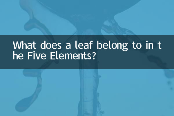 What does a leaf belong to in the Five Elements?