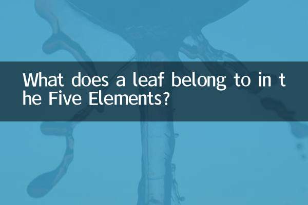 What does a leaf belong to in the Five Elements?