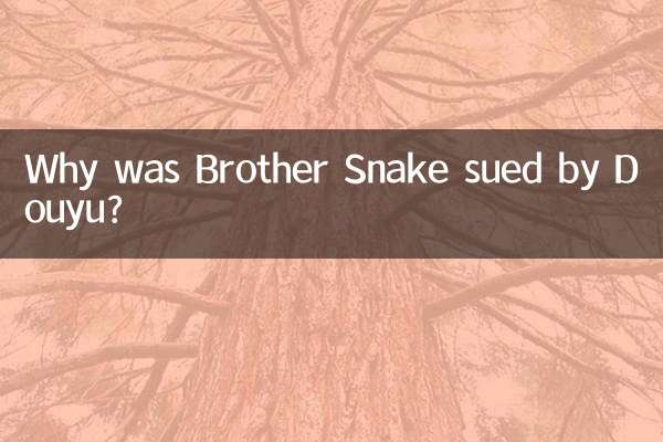 Pourquoi frère Snake a-t-il été poursuivi par Douyu ?