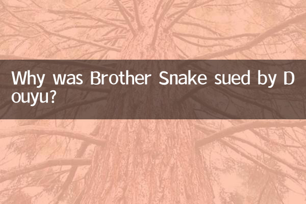 Pourquoi frère Snake a-t-il été poursuivi par Douyu ?