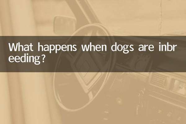 وقتی سگ ها همخونی می کنند چه اتفاقی می افتد؟