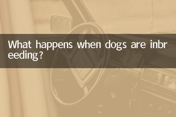 وقتی سگ ها همخونی می کنند چه اتفاقی می افتد؟