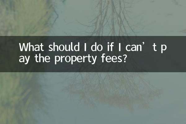 اگر نتوانم هزینه ملک را بپردازم چه باید بکنم؟