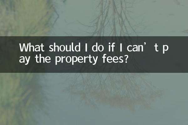 اگر نتوانم هزینه ملک را بپردازم چه باید بکنم؟