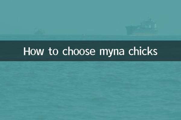 九官鳥の雛の選び方