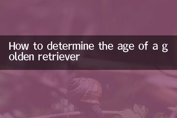 سنہری بازیافت کی عمر کا تعین کیسے کریں