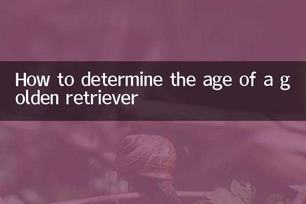 سنہری بازیافت کی عمر کا تعین کیسے کریں