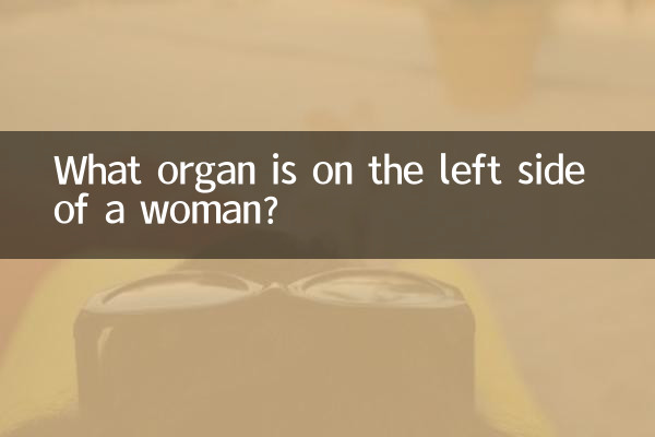 What organ is on the left side of a woman?