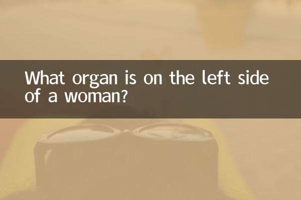 What organ is on the left side of a woman?