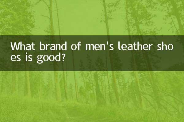 What brand of men's leather shoes is good?
