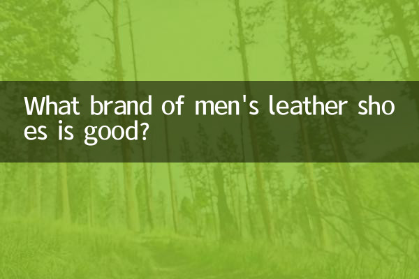 What brand of men's leather shoes is good?