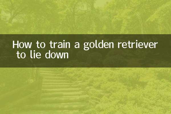Como treinar um golden retriever para se deitar