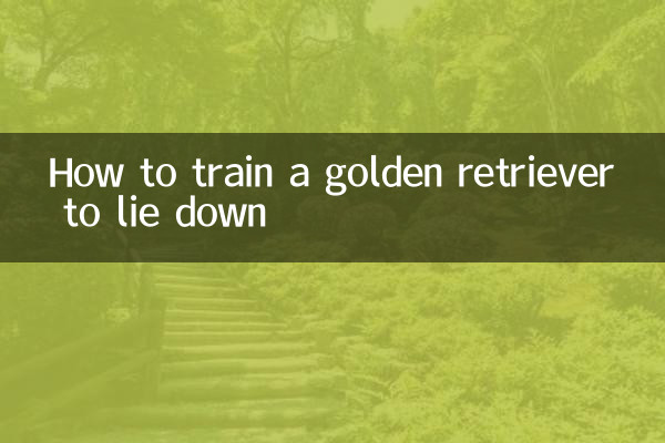 Como treinar um golden retriever para se deitar
