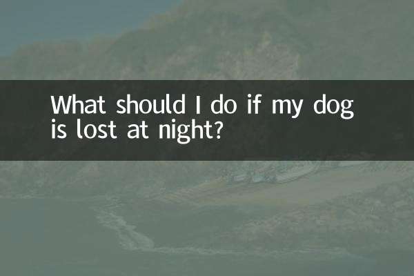 What should I do if my dog is lost at night?