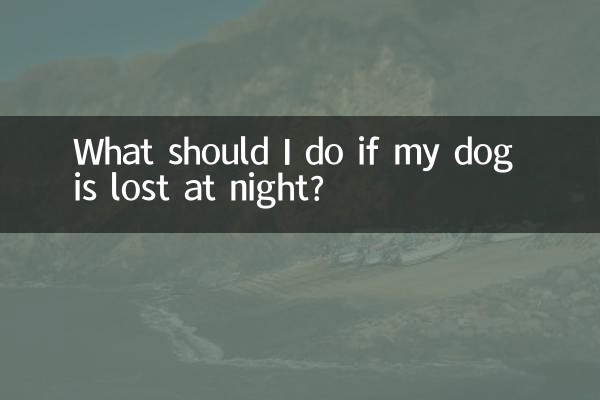 What should I do if my dog is lost at night?