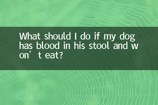 O que devo fazer se meu cachorro tiver sangue nas fezes e não comer?