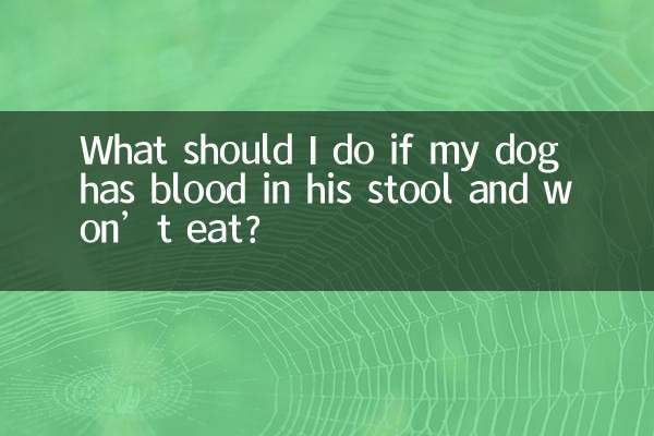 O que devo fazer se meu cachorro tiver sangue nas fezes e não comer?