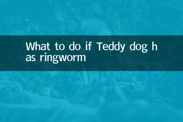 Что делать, если у собаки Тедди стригущий лишай