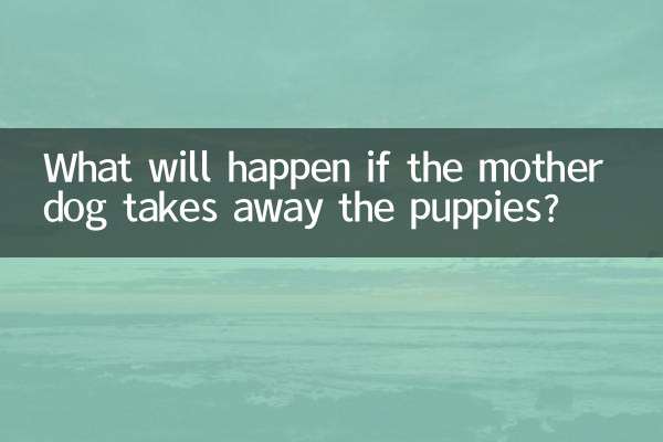 اگر ماں کتا کتے کو چھین لے تو کیا ہوگا؟