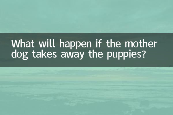 اگر سگ مادر توله ها را بردارد چه اتفاقی می افتد؟