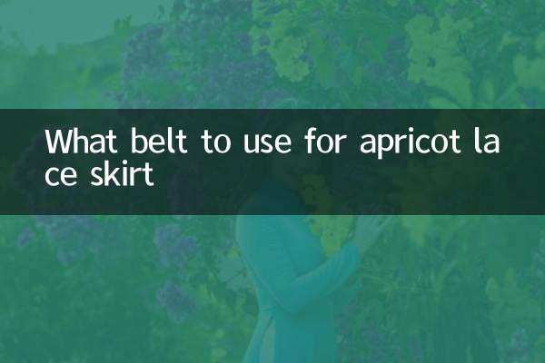 What belt to use for apricot lace skirt