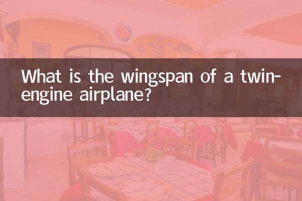 双发飞机翼展多少