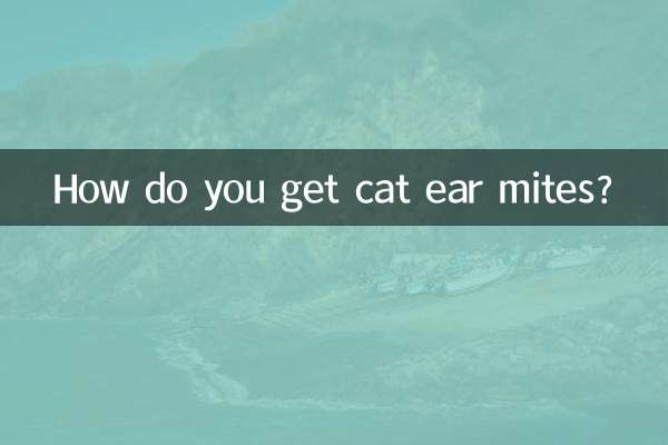 貓耳蟎怎麼得的