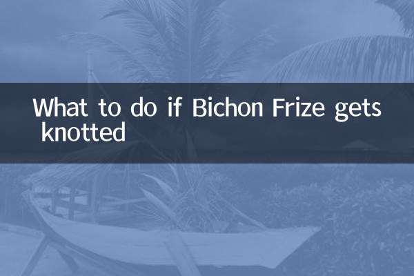 比熊打结怎么办