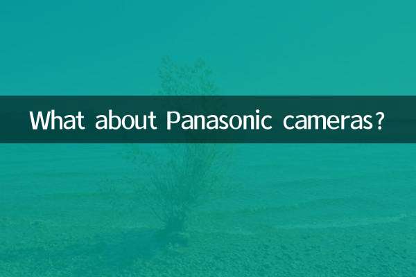 ماذا عن كاميرات باناسونيك؟