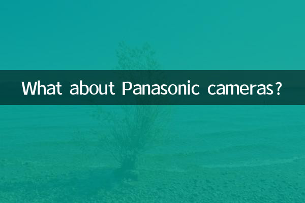 دوربین های پاناسونیک چطور؟