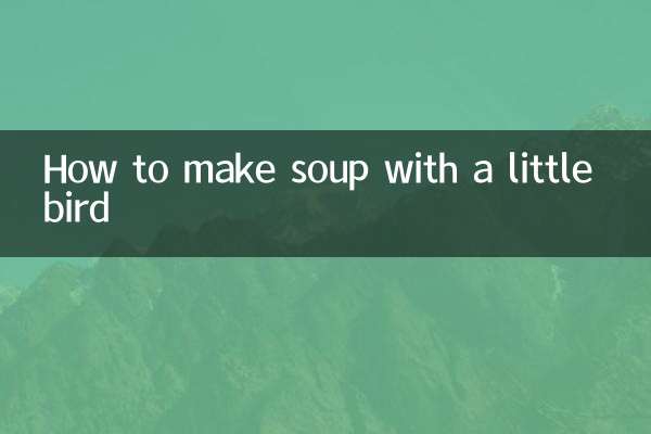 How to make soup with a little bird