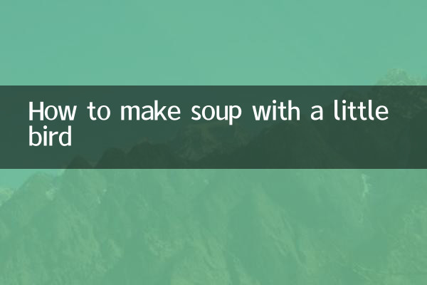 How to make soup with a little bird