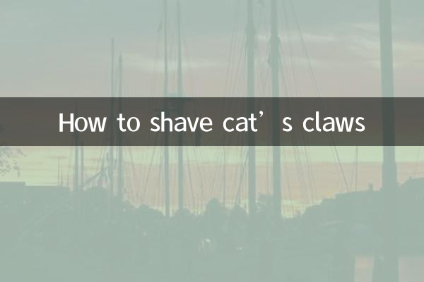 How to shave cat’s claws