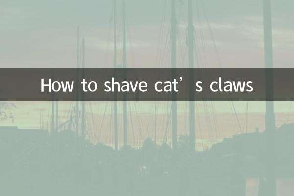 How to shave cat’s claws