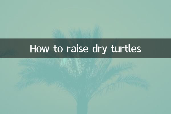 نحوه پرورش لاک پشت های خشک