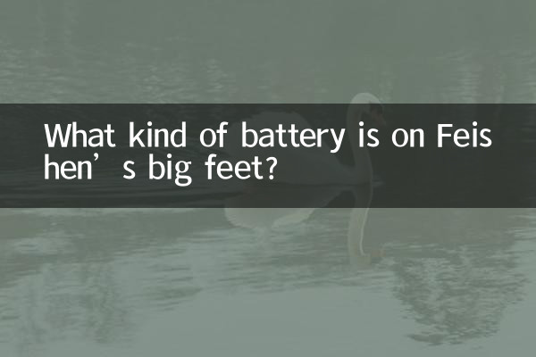 چه نوع باتری روی پاهای بزرگ فیشن وجود دارد؟