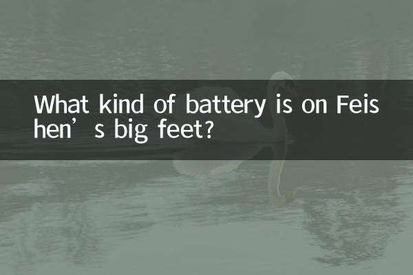 چه نوع باتری روی پاهای بزرگ فیشن وجود دارد؟