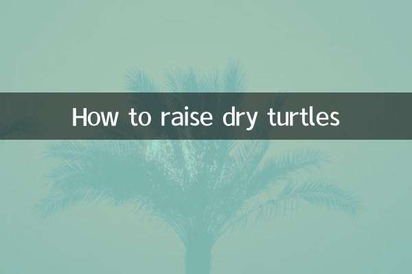 نحوه پرورش لاک پشت های خشک