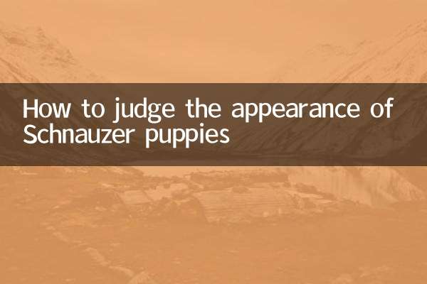 كيفية الحكم على مظهر الجراء شناوزر