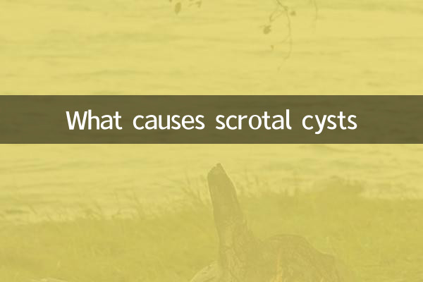 Что вызывает кисты мошонки