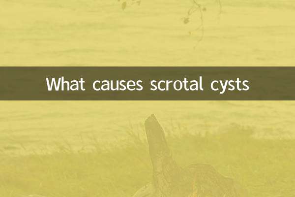 Что вызывает кисты мошонки