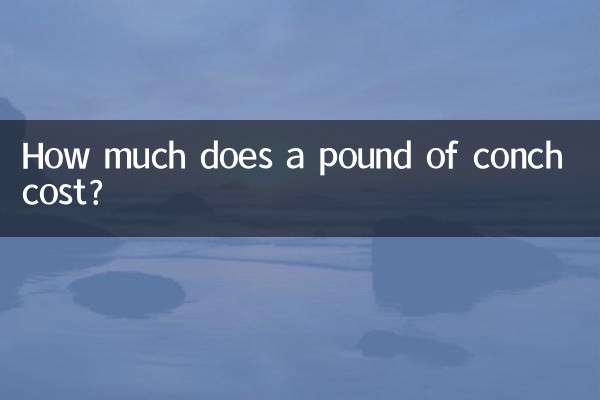 এক পাউন্ড শঙ্খের দাম কত?