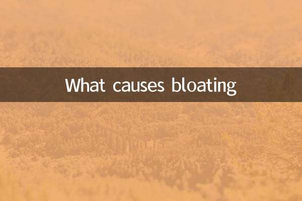 Quelles sont les causes des ballonnements