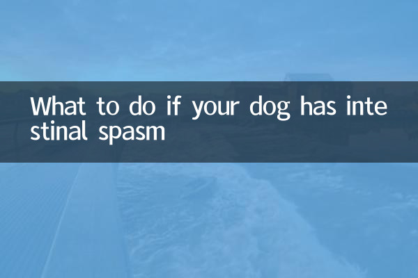 Cosa fare se il vostro cane ha uno spasmo intestinale?