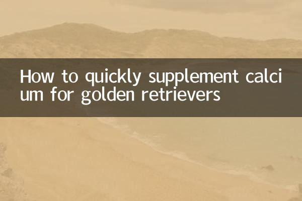 골든 리트리버의 칼슘을 빠르게 보충하는 방법