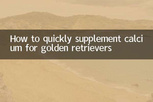 How to quickly supplement calcium for golden retrievers