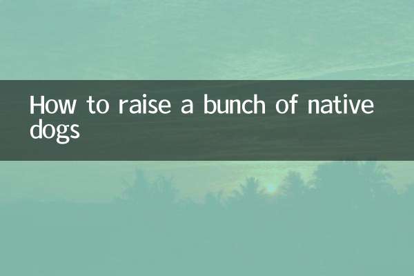 一群土狗怎么养