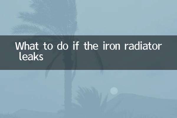 Was tun, wenn der Eisenheizkörper undicht ist?