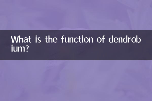 Quelle est la fonction du dendrobium ?