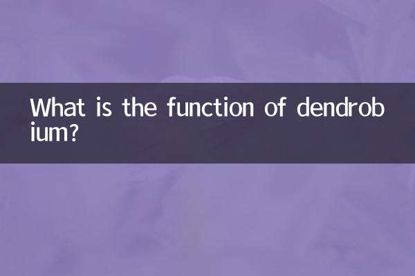 Qual è la funzione del dendrobium?